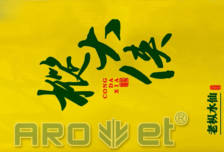 壹定发茶叶包装袋喷印装备在客户现场喷印视频
